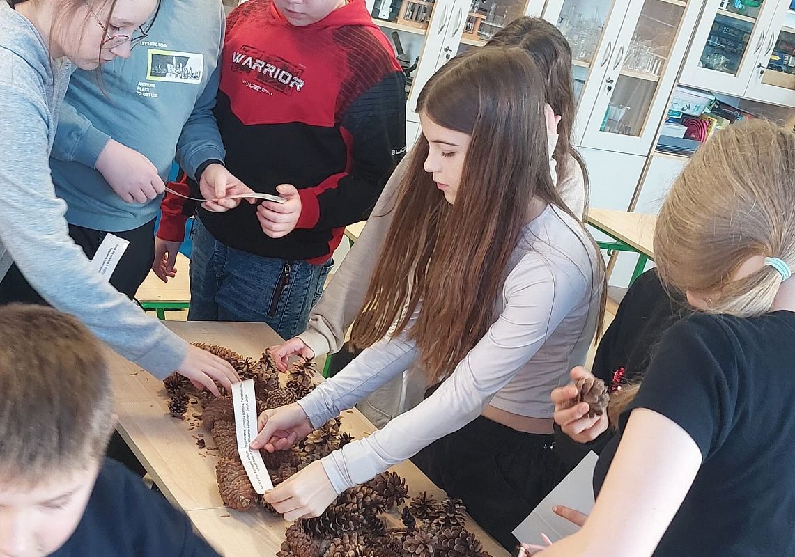 Grafika 1: Warsztaty ze Słowińskim Parkiem Narodowym. "Rośliny zimozielone"