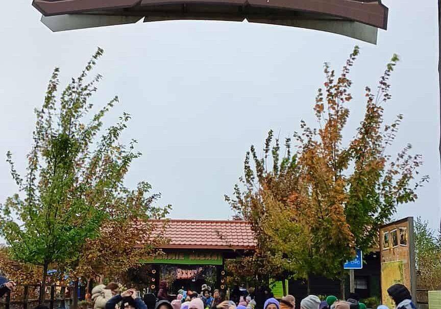 Grafika 1: Wycieczka na Farmę Alexa