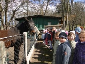 Grafika #0: W gospodarstwie