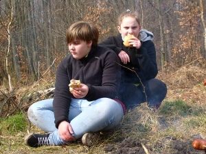 Grafika #0: Akcja sadzenia sosen pod nadzorem pana leśniczego Piotra Mikuły