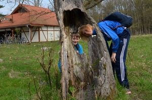 Grafika #0: Ścieżka Przyrodnicza Rąbka