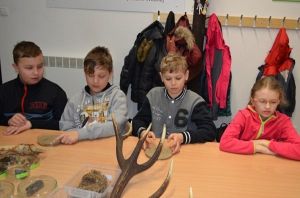 Grafika #0: Wycieczka edukacyjno-przyrodnicza do Rąbki