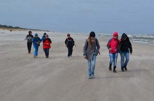 Grafika #0: Odkrywamy tajemnice ekosystemów Mierzei Łebskiej