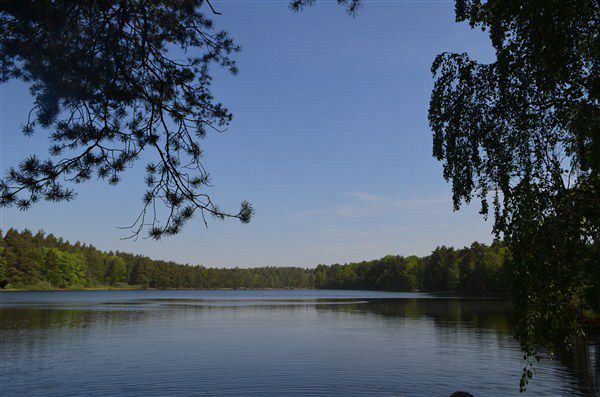 Grafika #0: Zajęcia przyrodnicze nad jeziorem Czarnym