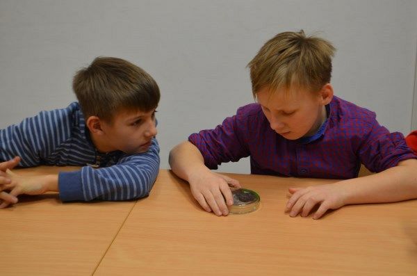 Grafika #0: Nocni łowcy