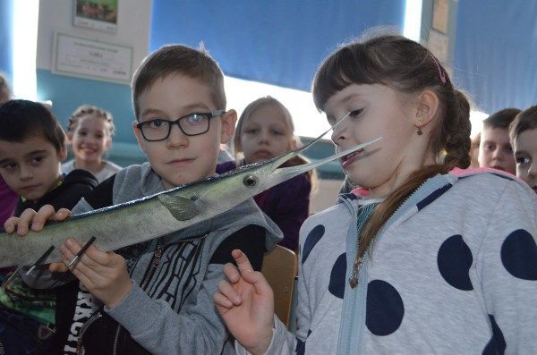 Grafika #0: Ryby i minogi z wód Ostoi Slowińskiej