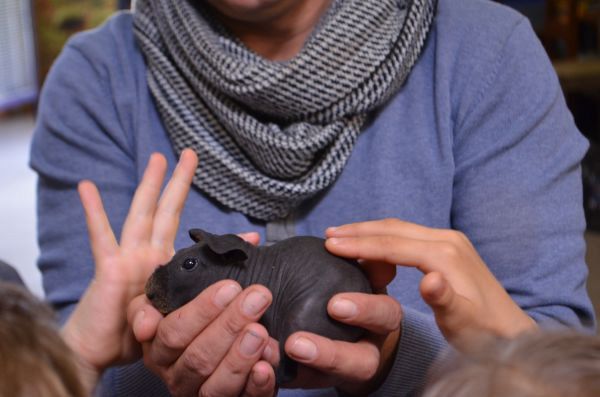 Grafika #0: Wycieczka klas 1-3 i oddziału przedszkolnego do Tuchlina - 25 kwietnia 2017r.