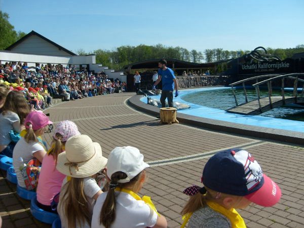 Grafika #0: WYCIECZKA PRZEDSZKOLAKÓW DO SEA PARKU W SARBSKU