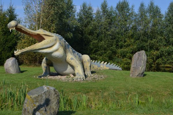 Grafika #0: Wycieczka do Parku Dinozaurów