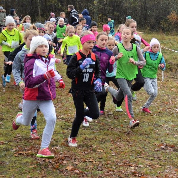 Grafika #0: Bieg Niepodległości. Siostry Hermann wśród najlepszych!