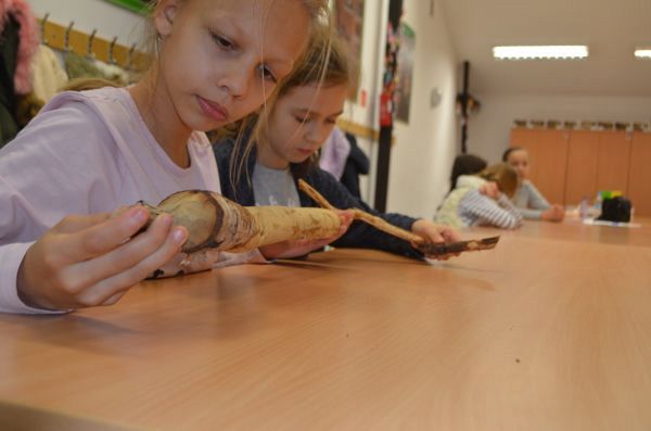 Grafika #0: Zajęcia przyrodnicze w Rąbce