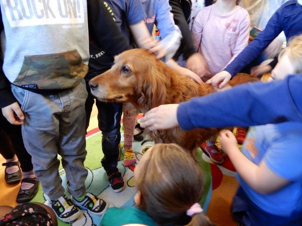 Grafika #0: Niezwykłe spotkanie z Lusią