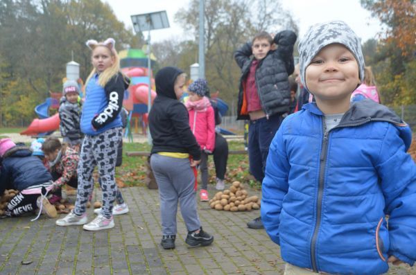 Grafika #0: Święto Pieczonego Ziemniaka