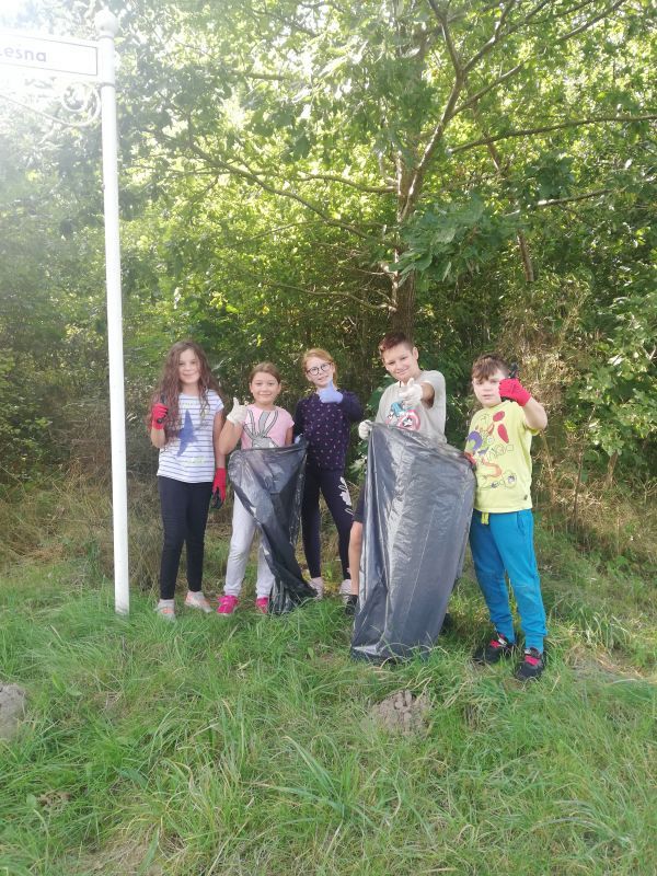 Grafika #0: Akcja "Sprzątanie Świata 2020"