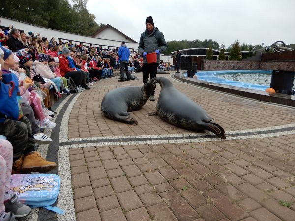 Grafika #0: Wycieczka do Sea Parku