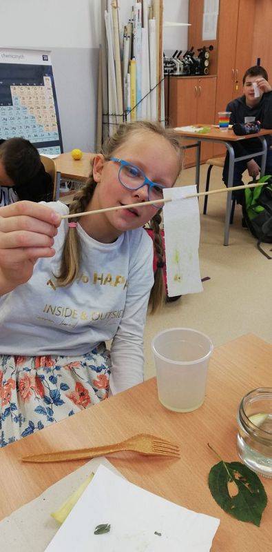 Grafika #0: Jesienne eksperymenty na kółku przyrodniczym