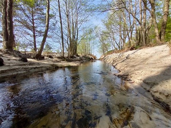 Grafika #0: Pomorskie Żagle Wiedzy w Szklanej Hucie