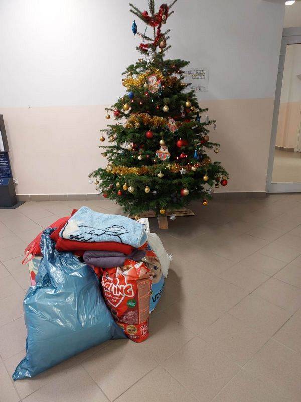 Grafika #0: Zbiórka dla bezdomnych zwierząt