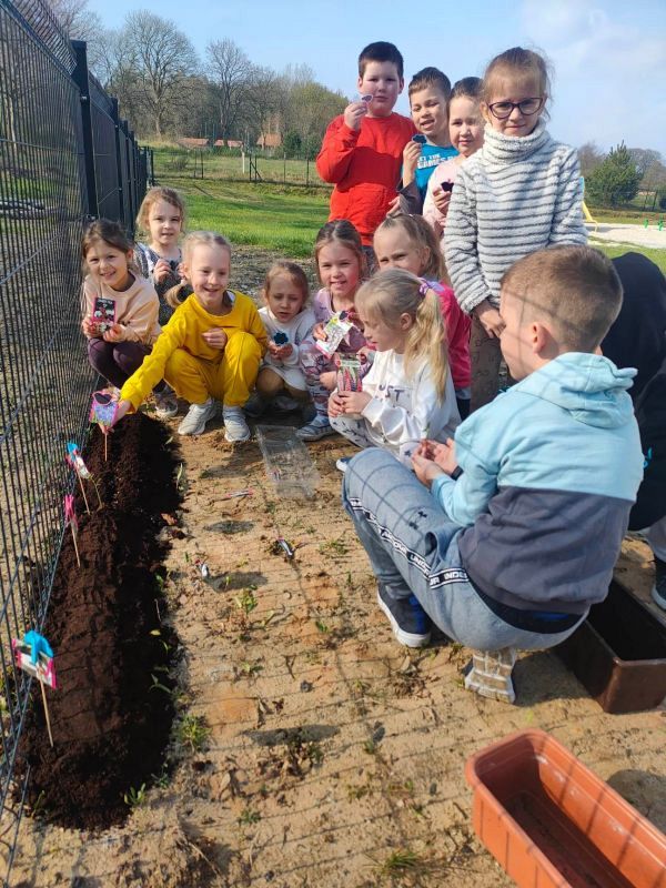 Grafika #0: Ogródek kwiatowy pierwszaków