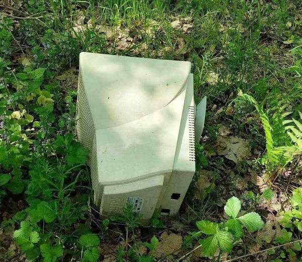 Grafika #0: Nagrodzeni w 28 edycji konkursu "Dzień Ziemi w Słowińskim Parku narodowym"