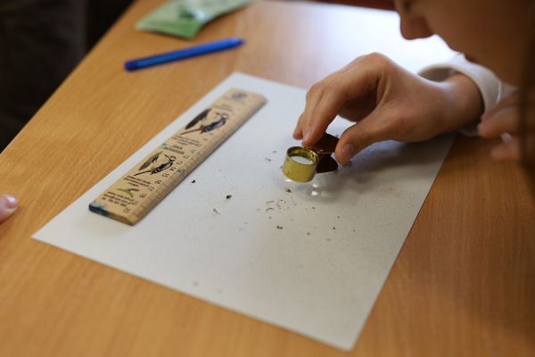 Grafika #0: Warsztaty przyrodnicze