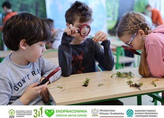 Utworzenie ekoPracowni w Szkole Podstawowej w Szczenurzy ze środków WFOŚiGW w Gdańsku grafika