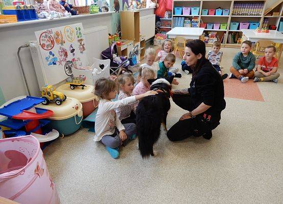 Grafika 1: Dogoterapia w grupach przedszkolnych.