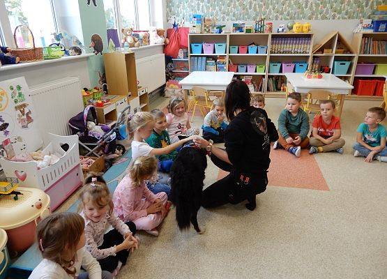 Grafika 2: Dogoterapia w grupach przedszkolnych.