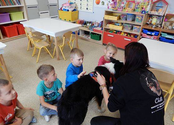 Grafika 3: Dogoterapia w grupach przedszkolnych.