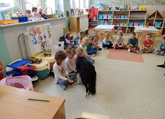 Grafika 6: Dogoterapia w grupach przedszkolnych.