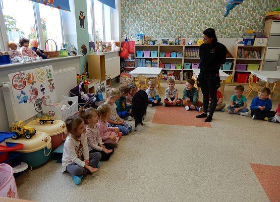 Grafika 7: Dogoterapia w grupach przedszkolnych.