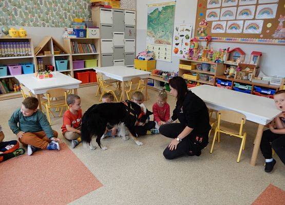Grafika 8: Dogoterapia w grupach przedszkolnych.