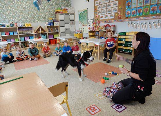Grafika 9: Dogoterapia w grupach przedszkolnych.