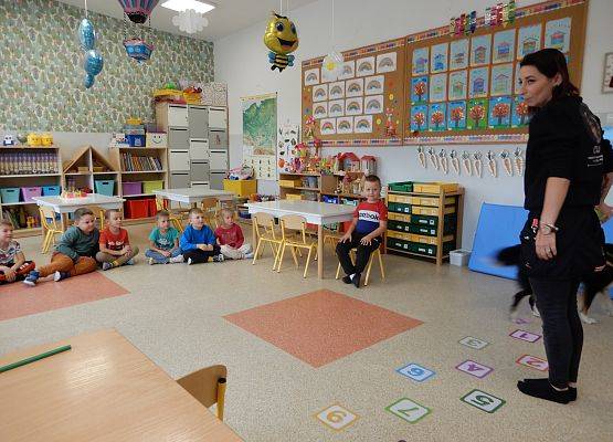 Grafika 10: Dogoterapia w grupach przedszkolnych.