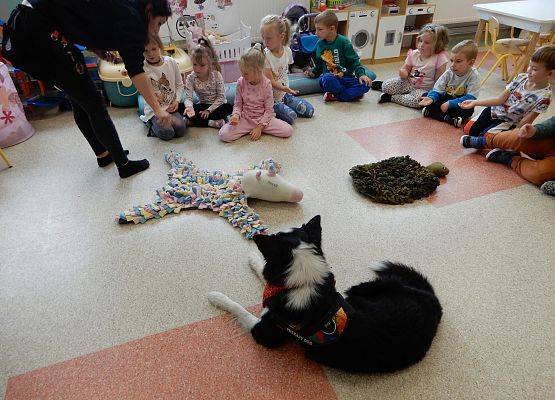 Grafika 15: Dogoterapia w grupach przedszkolnych.