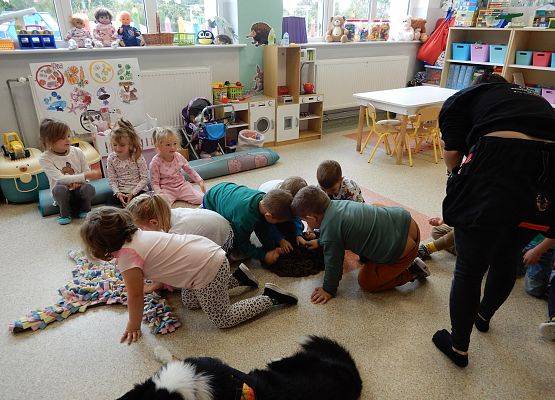 Grafika 16: Dogoterapia w grupach przedszkolnych.