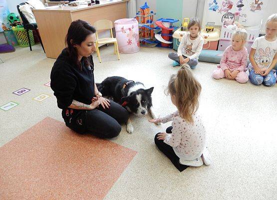 Grafika 19: Dogoterapia w grupach przedszkolnych.