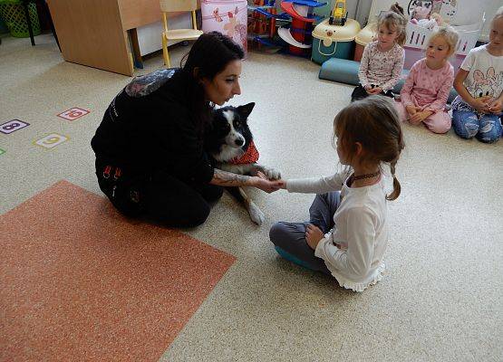 Grafika 20: Dogoterapia w grupach przedszkolnych.