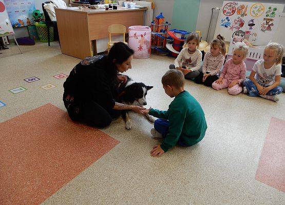 Grafika 23: Dogoterapia w grupach przedszkolnych.