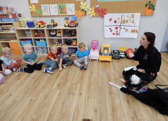 Grafika 25: Dogoterapia w grupach przedszkolnych.