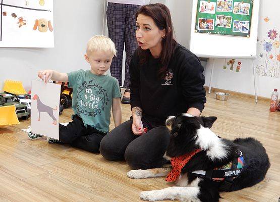 Grafika 27: Dogoterapia w grupach przedszkolnych.