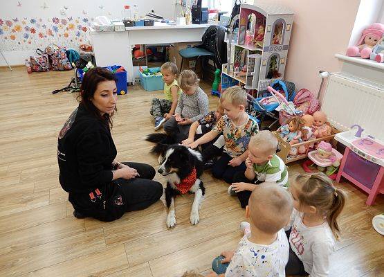 Grafika 28: Dogoterapia w grupach przedszkolnych.