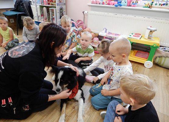 Grafika 30: Dogoterapia w grupach przedszkolnych.