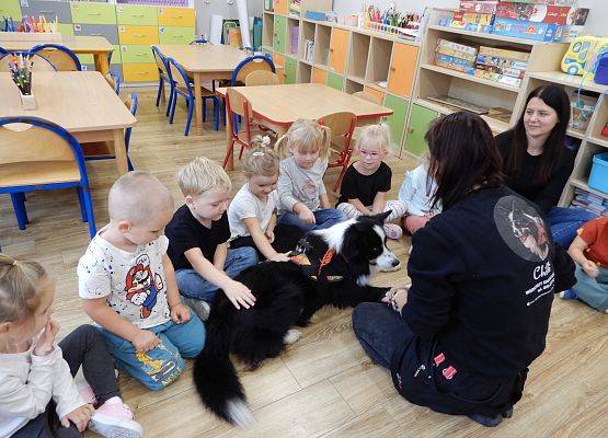 Grafika 31: Dogoterapia w grupach przedszkolnych.