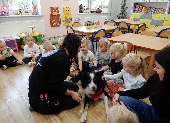 Grafika 32: Dogoterapia w grupach przedszkolnych.