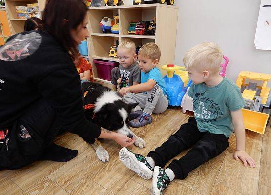 Grafika 34: Dogoterapia w grupach przedszkolnych.