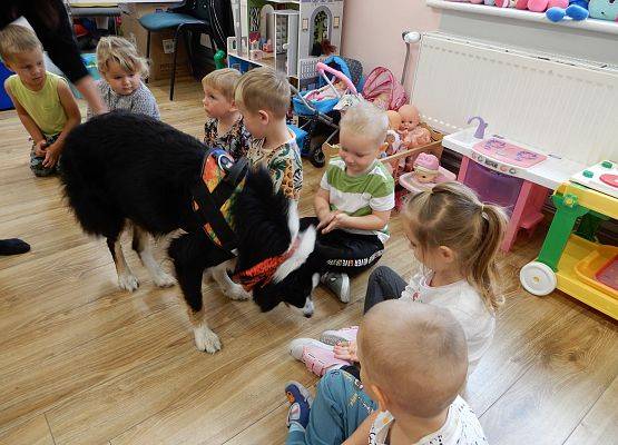 Grafika 38: Dogoterapia w grupach przedszkolnych.
