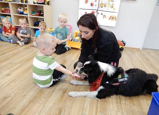 Grafika 40: Dogoterapia w grupach przedszkolnych.