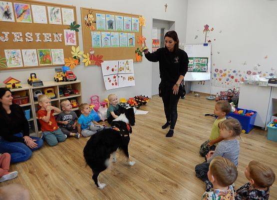 Grafika 41: Dogoterapia w grupach przedszkolnych.