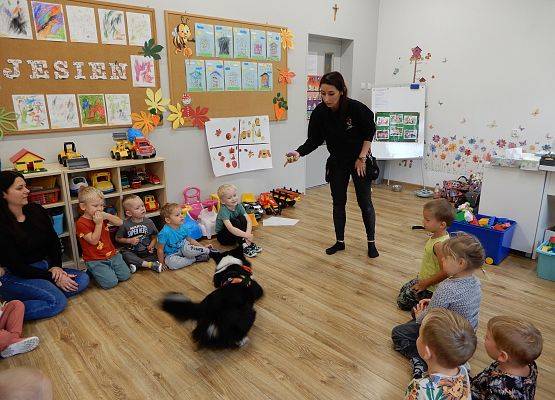 Grafika 42: Dogoterapia w grupach przedszkolnych.